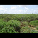 Blick von einem Aussichtsturm in einem Vogelschutzgebiet